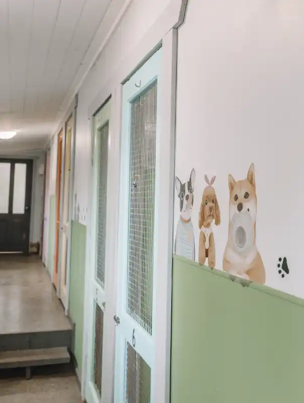 pipsqueaks-boarding-kennels-22