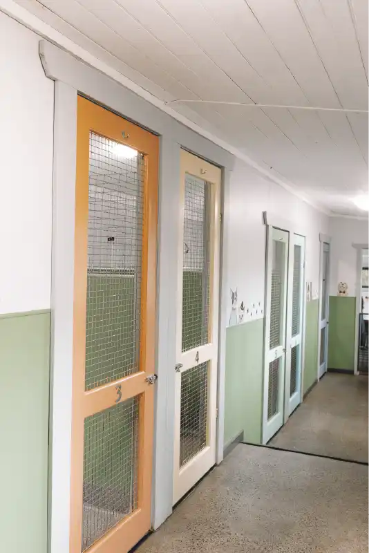 pipsqueaks-boarding-kennels12